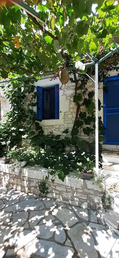 Petrinο Katochori Lägenhet Katokhórion Exteriör bild